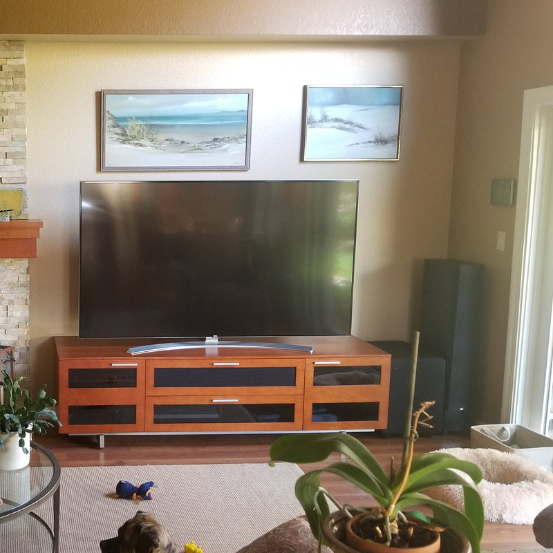 SVS Featured Home Theater System: Steve L. from San Ramon, CA