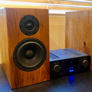 Home Theater Podcaster Powers Custom DIY Speakers with SVS Prime Wireless Pro