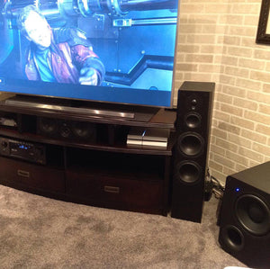 SVS Height Effects Speakers Bring Crisp, Clear Sound From Above in Pennsylvania