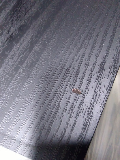 SB-2000 Pro - Black Ash - Outlet - 1245