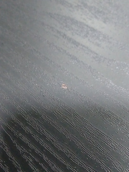 SB-3000 - Black Ash - Outlet - 1069