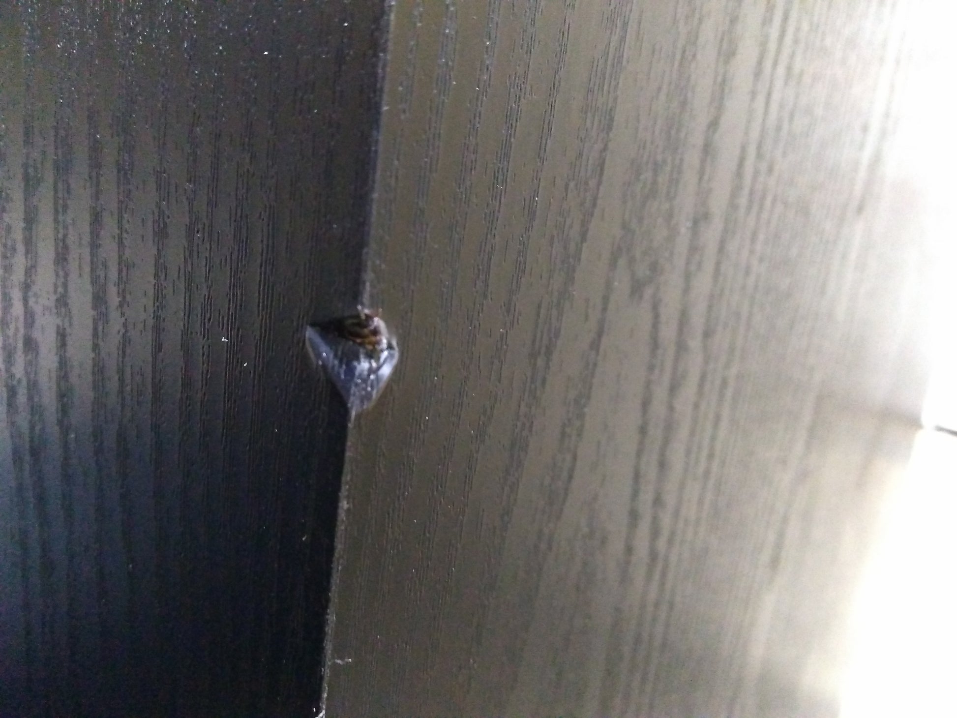 PB-2000 Pro - Outlet - 1133