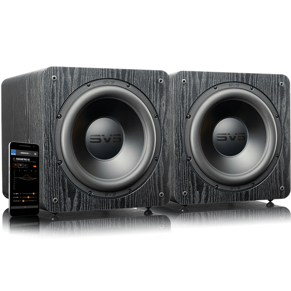 Dual pb best sale 2000